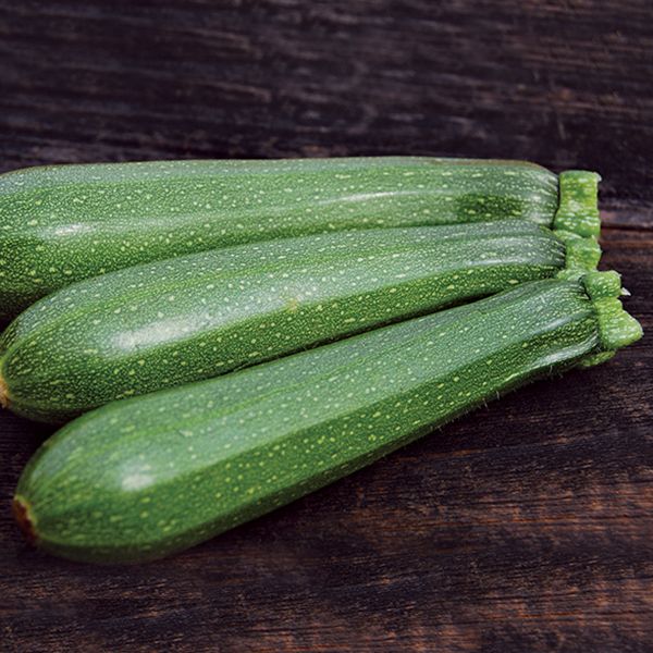 Summer Squash - Zucchini
