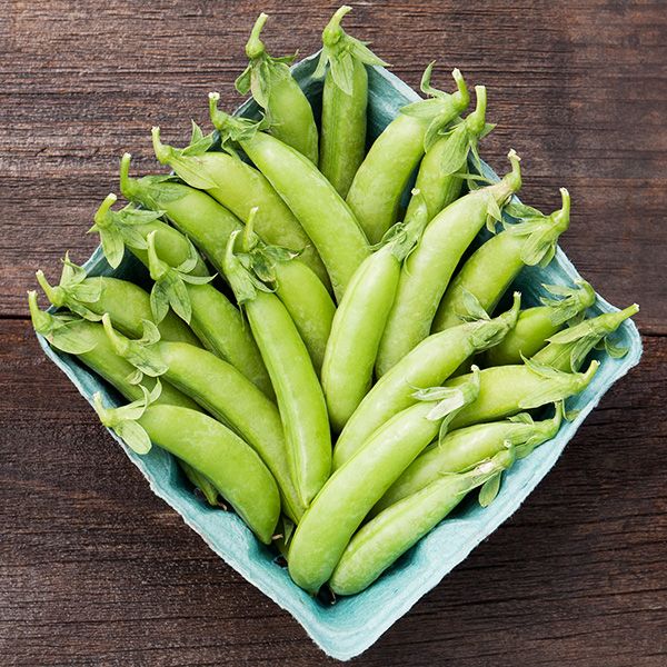 Peas - Snap
