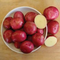 Potatoes - Red