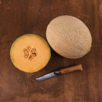 Melon - Cantaloupe