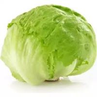 Lettuce - Iceberg