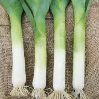 Leeks