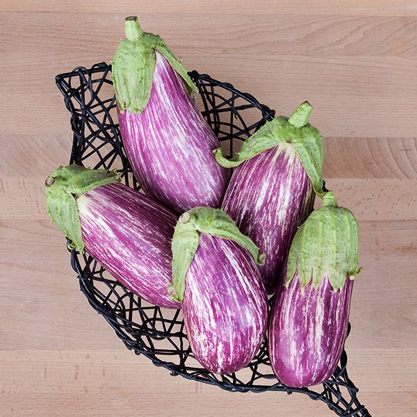 Eggplant - Listada Digandia
