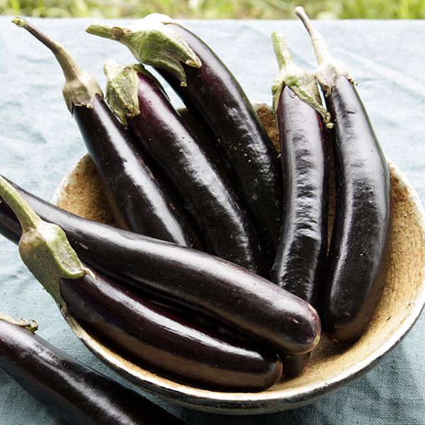 Eggplant - Little Finger