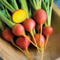 Beets - Gold - No Tops