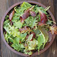 Spring Mix
