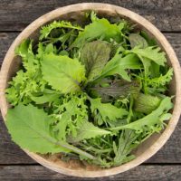 Greens Mix