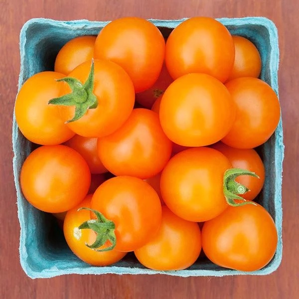 Tomatoes Cherry Orange Haroldson Farms