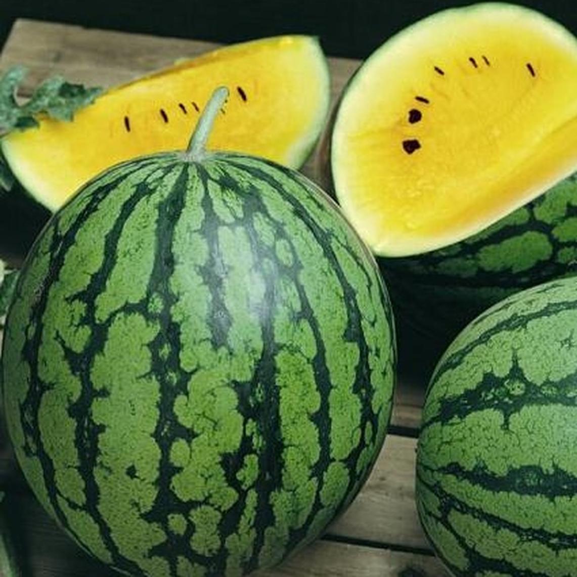 Watermelon - Yellow - Early Moonbeam - Haroldson Farms