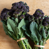 Broccolini - Purple