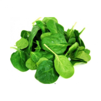 Spinach - Baby