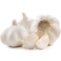 Garlic - White