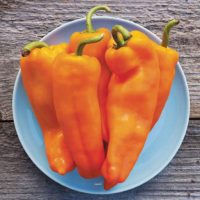 Peppers - Italian Sweet