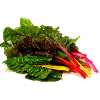 Chard - Rainbow
