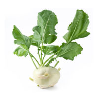 Kohlrabi - White