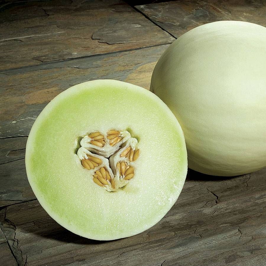 Melon - Honeydew - Green - Haroldson Farms