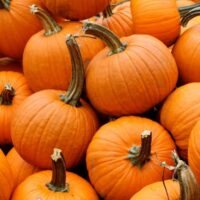Pumpkin - Small Orange